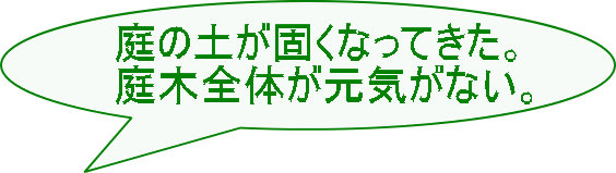 庭の土が固くなってきた。 庭木全体が元気がない。 