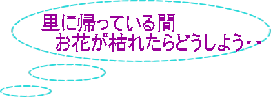 里に帰っている間 　お花が枯れたらどうしよう・・ 