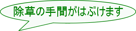 除草の手間がはぶけます 