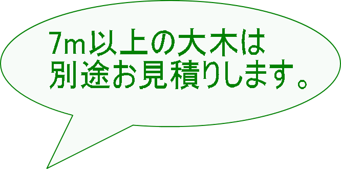 7m以上の大木は 別途お見積りします。 