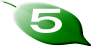 ５