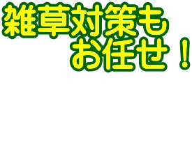 雑草対策も 　　お任せ！  