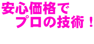 安心価格で 　プロの技術！ 